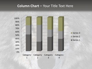 Carnivore Wildlife Grey PowerPoint Template