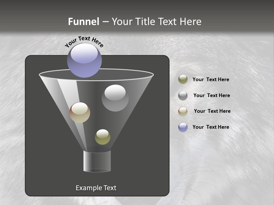 Carnivore Wildlife Grey PowerPoint Template