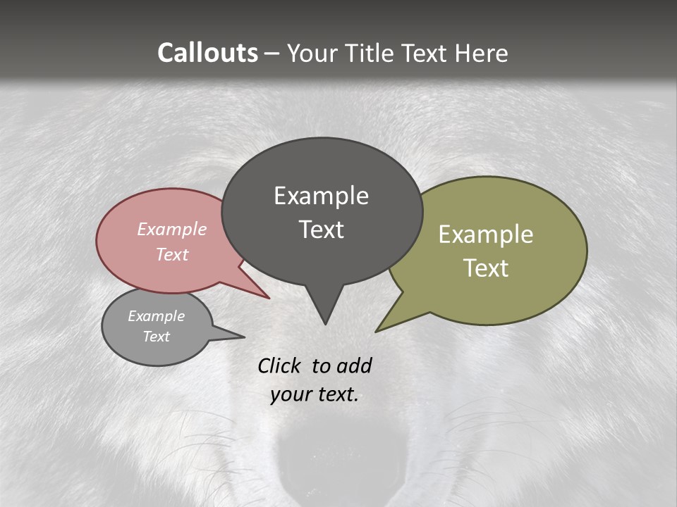 Carnivore Wildlife Grey PowerPoint Template