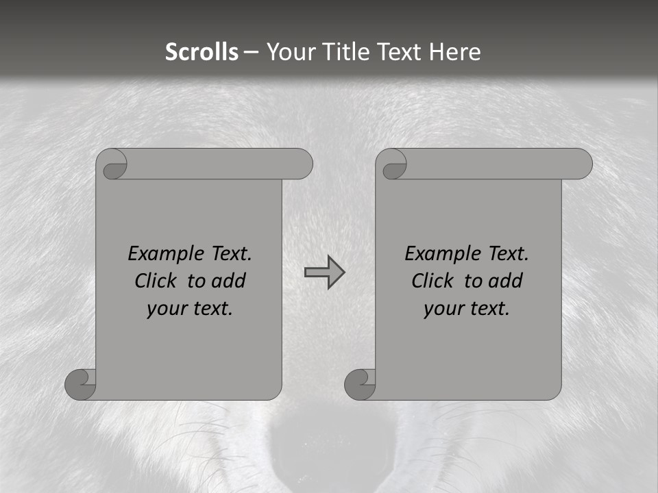 Carnivore Wildlife Grey PowerPoint Template