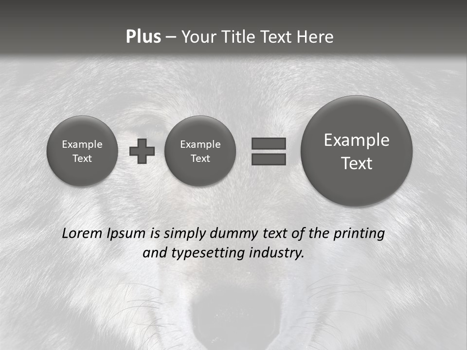 Carnivore Wildlife Grey PowerPoint Template