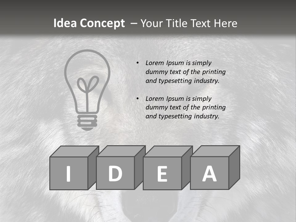 Carnivore Wildlife Grey PowerPoint Template