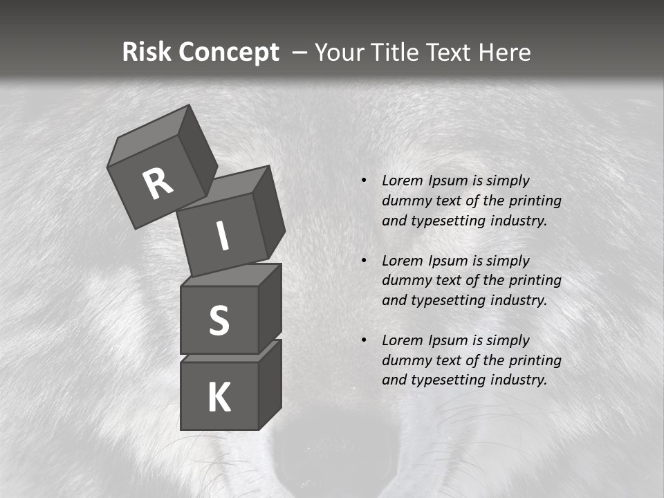 Carnivore Wildlife Grey PowerPoint Template