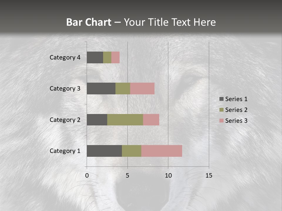 Carnivore Wildlife Grey PowerPoint Template