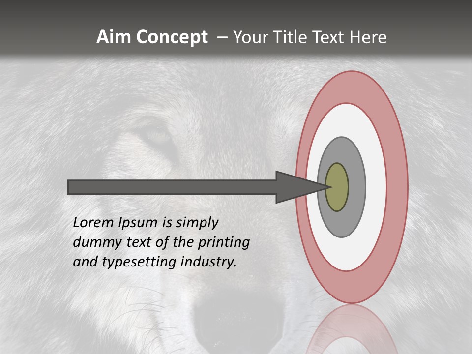 Carnivore Wildlife Grey PowerPoint Template