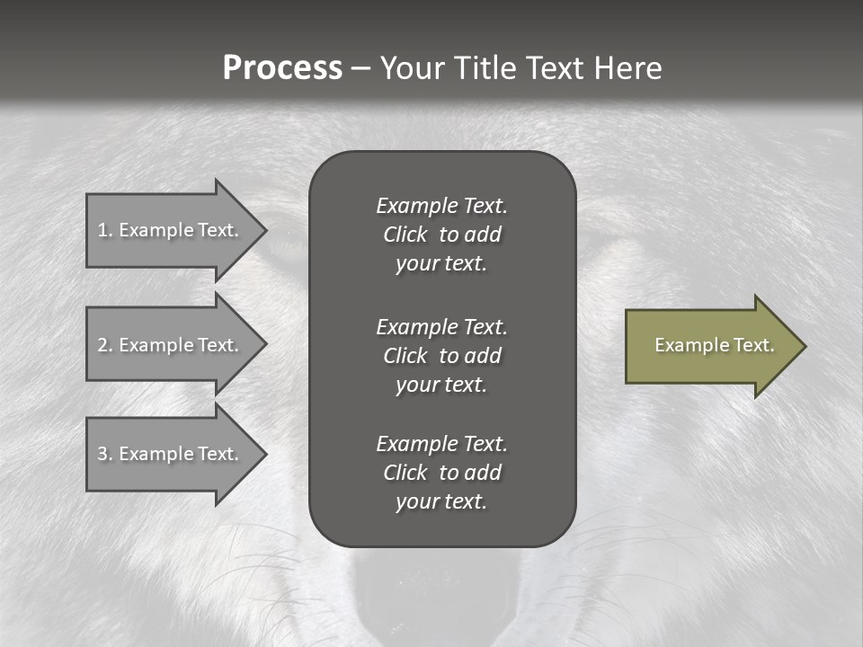 Carnivore Wildlife Grey PowerPoint Template