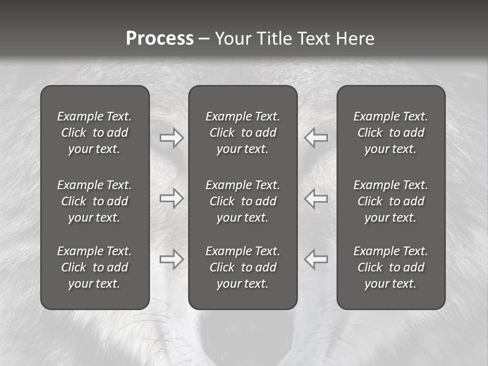 Carnivore Wildlife Grey PowerPoint Template
