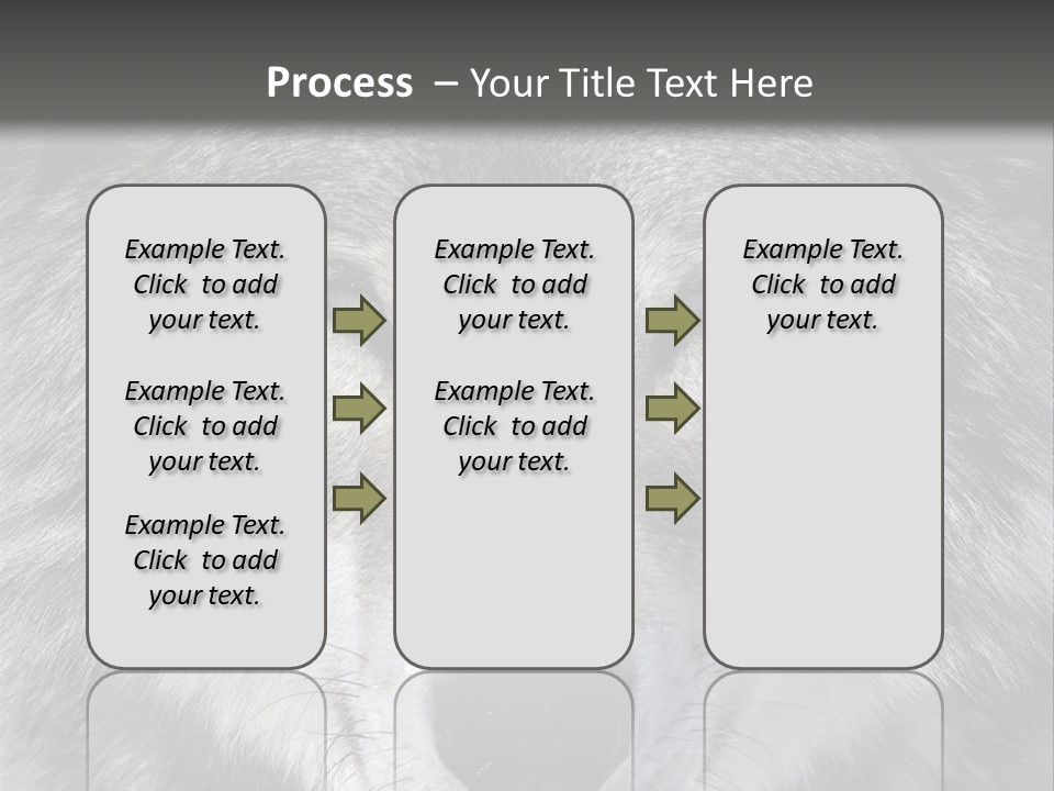 Carnivore Wildlife Grey PowerPoint Template