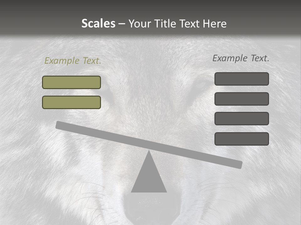 Carnivore Wildlife Grey PowerPoint Template