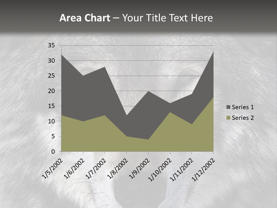 Carnivore Wildlife Grey PowerPoint Template
