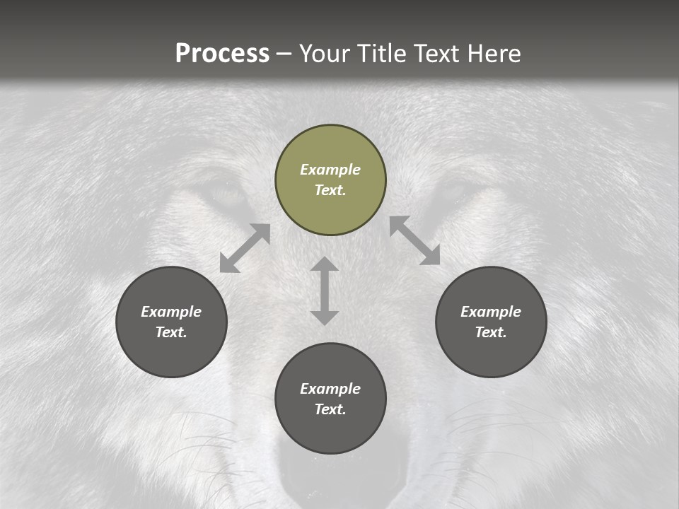 Carnivore Wildlife Grey PowerPoint Template