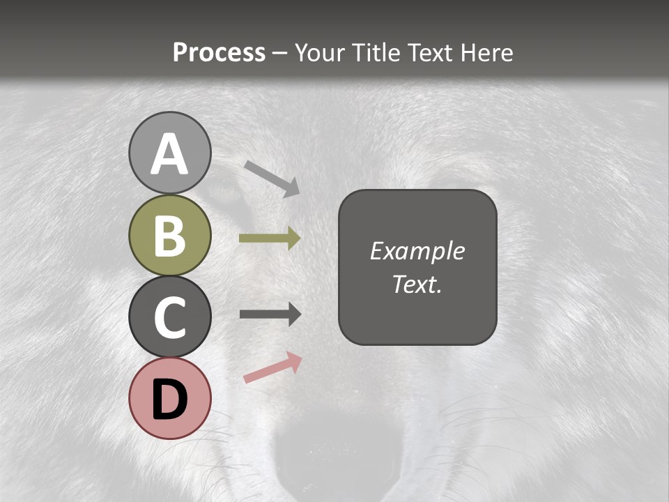 Carnivore Wildlife Grey PowerPoint Template