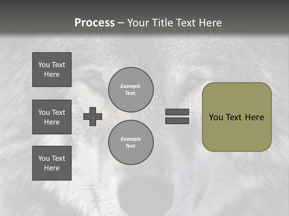 Carnivore Wildlife Grey PowerPoint Template