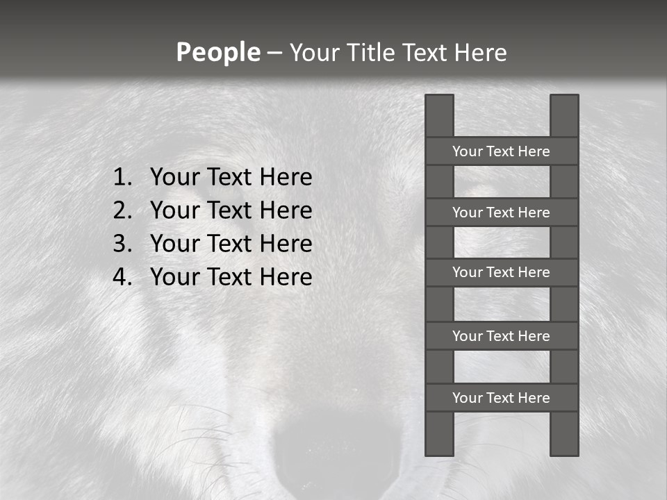 Carnivore Wildlife Grey PowerPoint Template