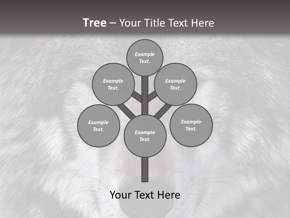 Carnivore Wildlife Grey PowerPoint Template