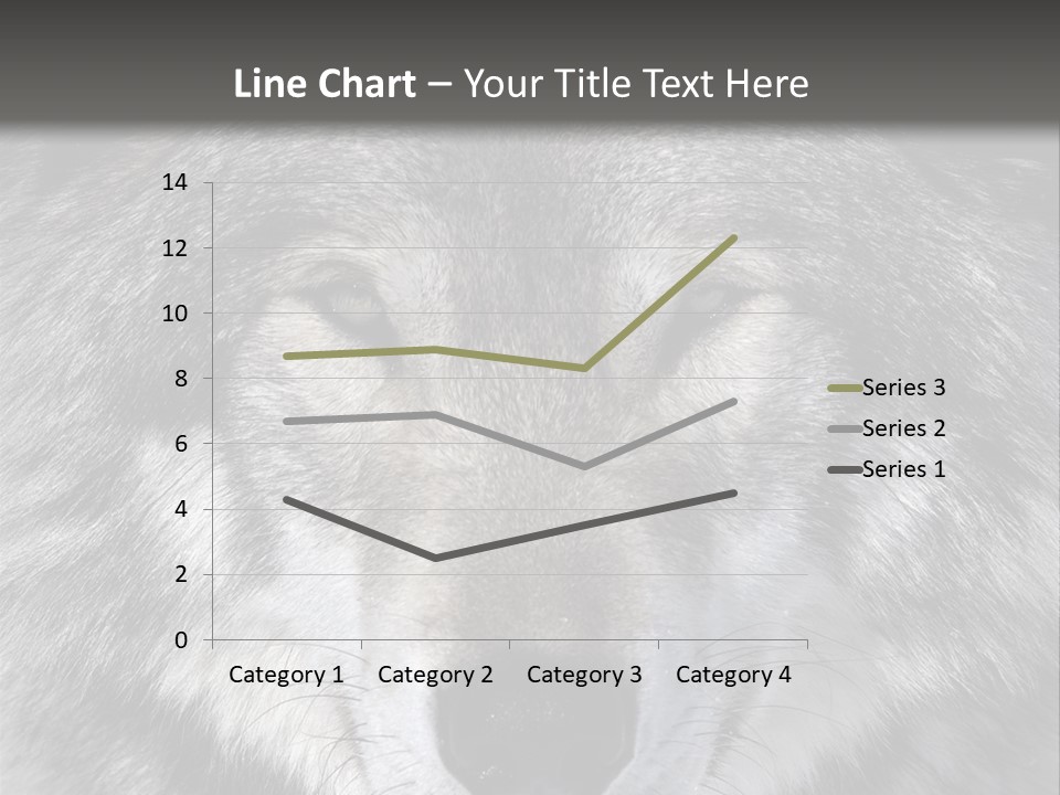 Carnivore Wildlife Grey PowerPoint Template