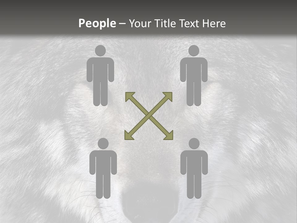 Carnivore Wildlife Grey PowerPoint Template