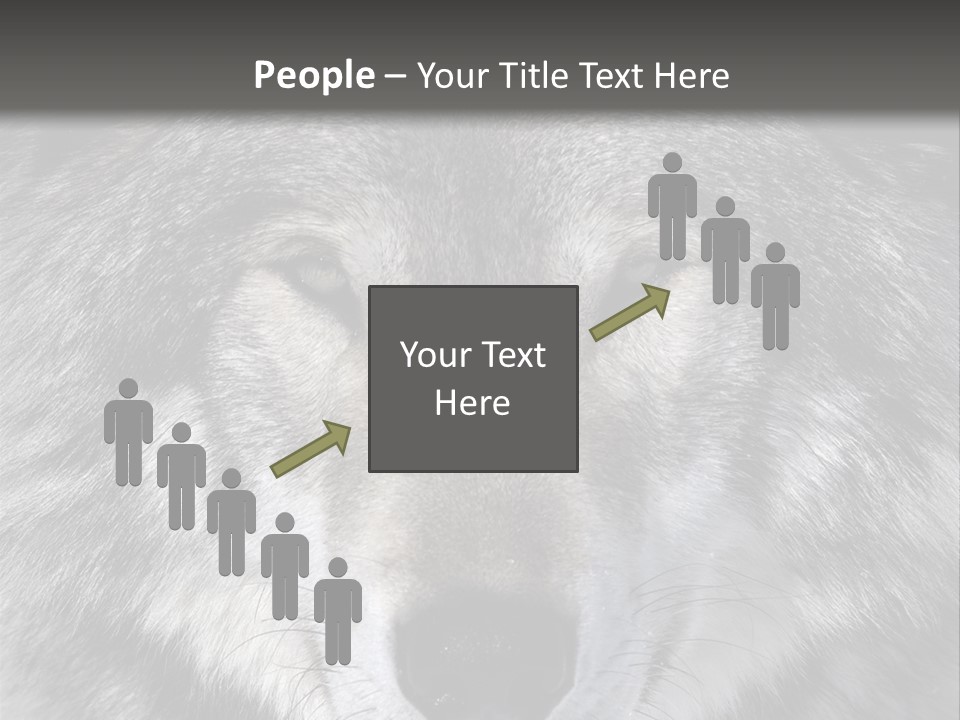 Carnivore Wildlife Grey PowerPoint Template