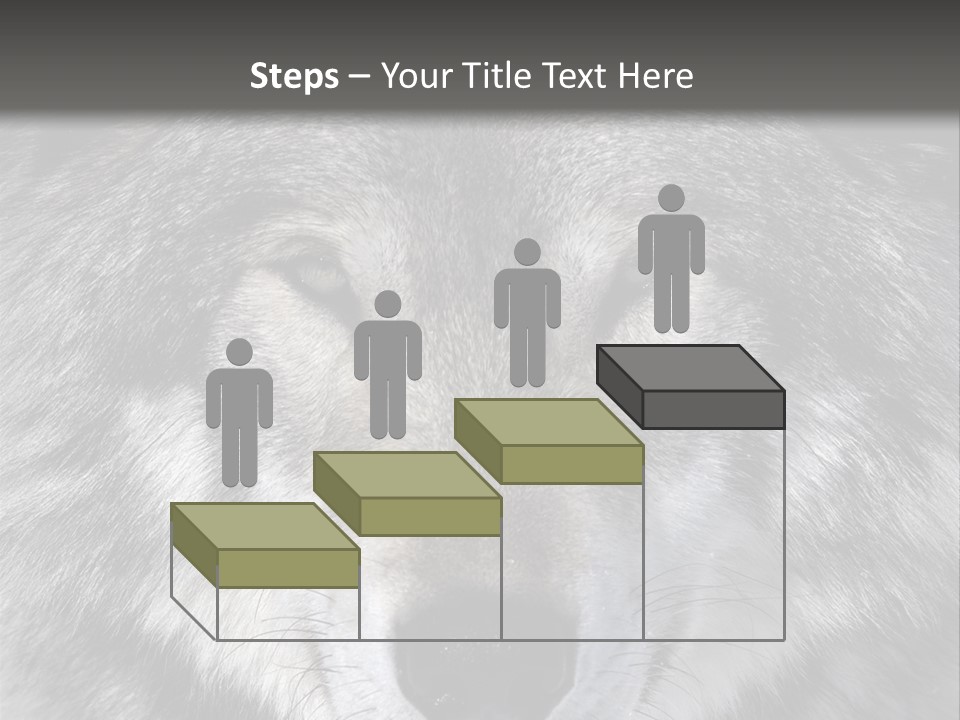Carnivore Wildlife Grey PowerPoint Template