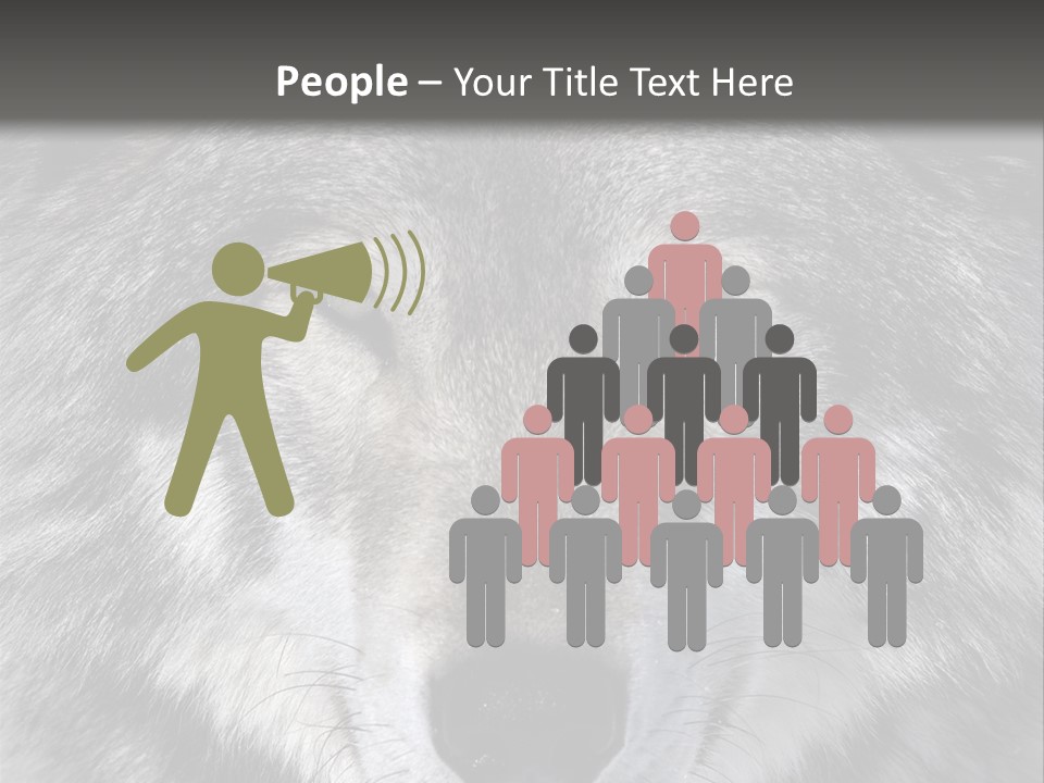 Carnivore Wildlife Grey PowerPoint Template