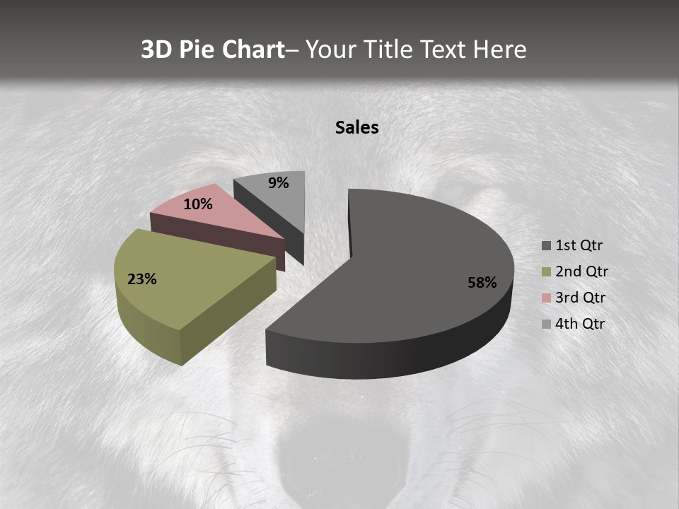 Carnivore Wildlife Grey PowerPoint Template