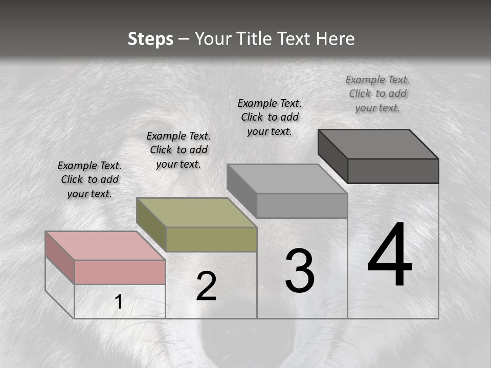 Carnivore Wildlife Grey PowerPoint Template