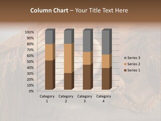 Cro Vitamine Baguette PowerPoint Template