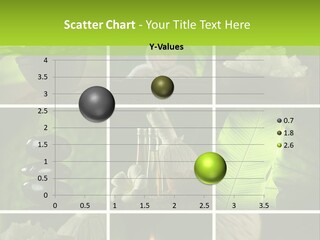 Healthcare Frangipani Aromatherapy PowerPoint Template