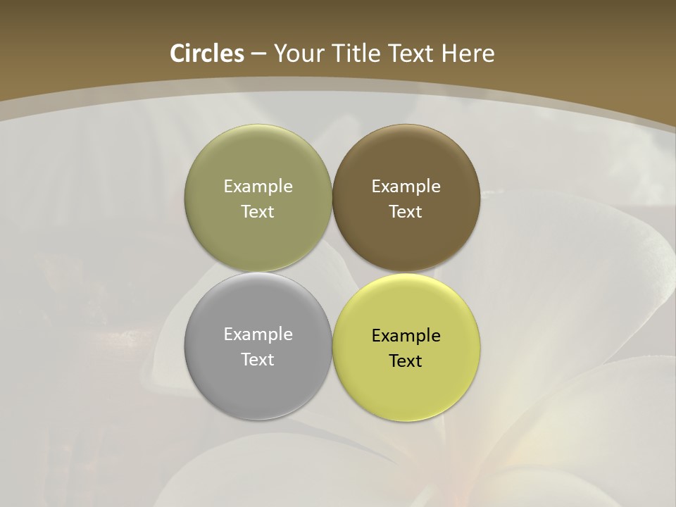 Herbal Aroma Herbs PowerPoint Template