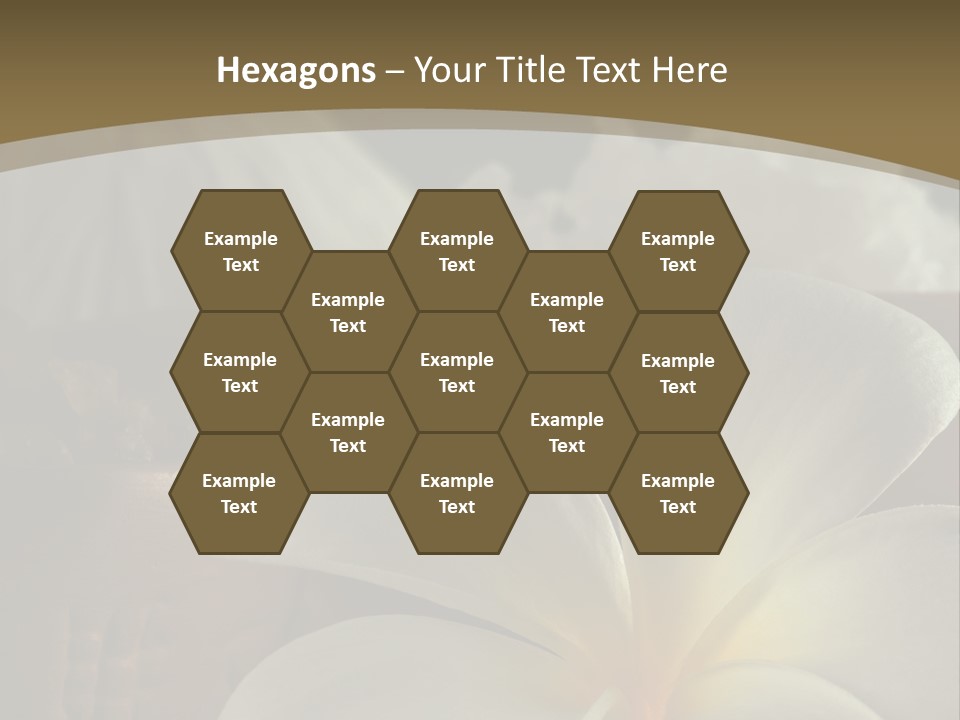 Herbal Aroma Herbs PowerPoint Template