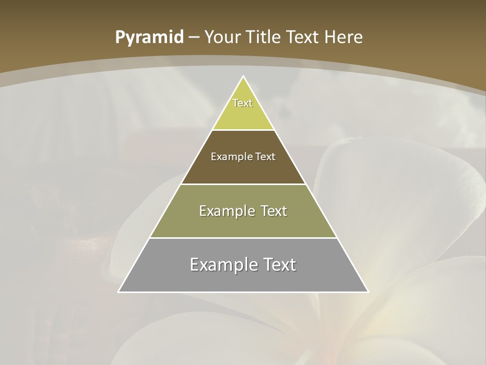 Herbal Aroma Herbs PowerPoint Template