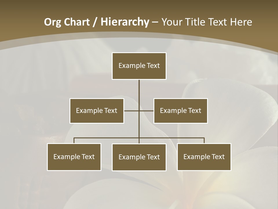 Herbal Aroma Herbs PowerPoint Template