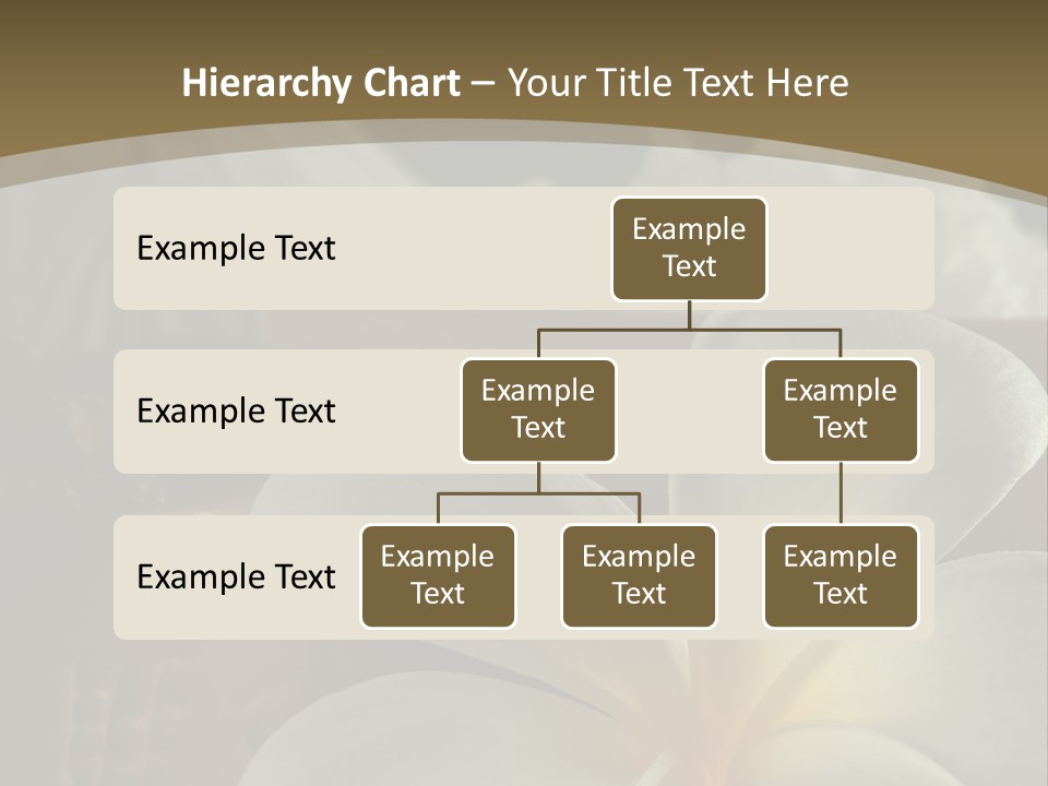 Herbal Aroma Herbs PowerPoint Template