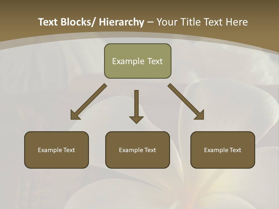 Herbal Aroma Herbs PowerPoint Template