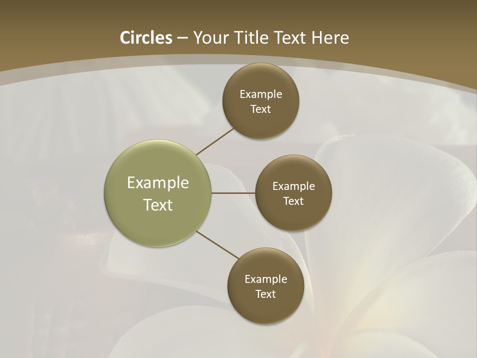 Herbal Aroma Herbs PowerPoint Template