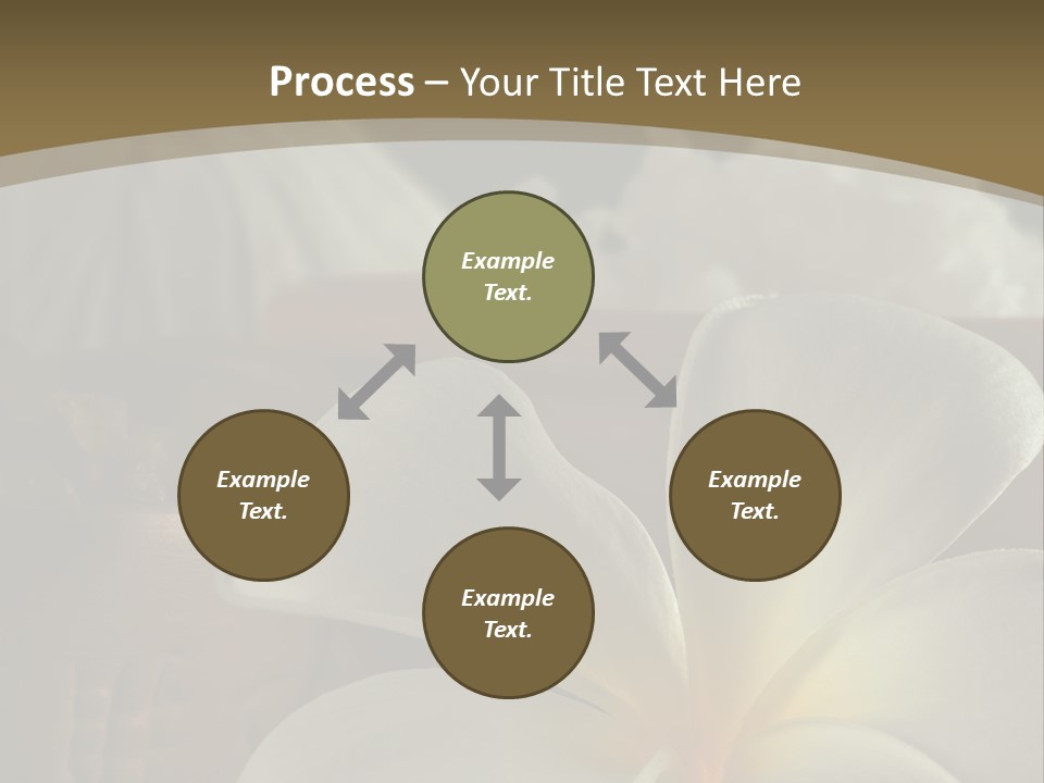 Herbal Aroma Herbs PowerPoint Template