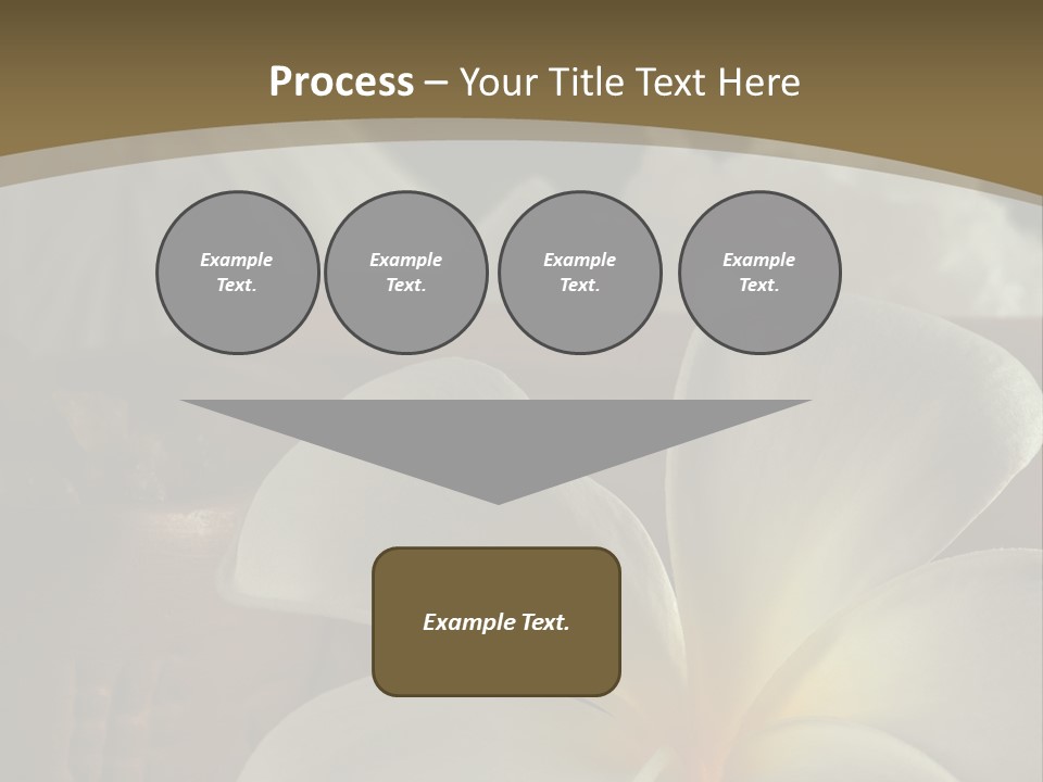 Herbal Aroma Herbs PowerPoint Template