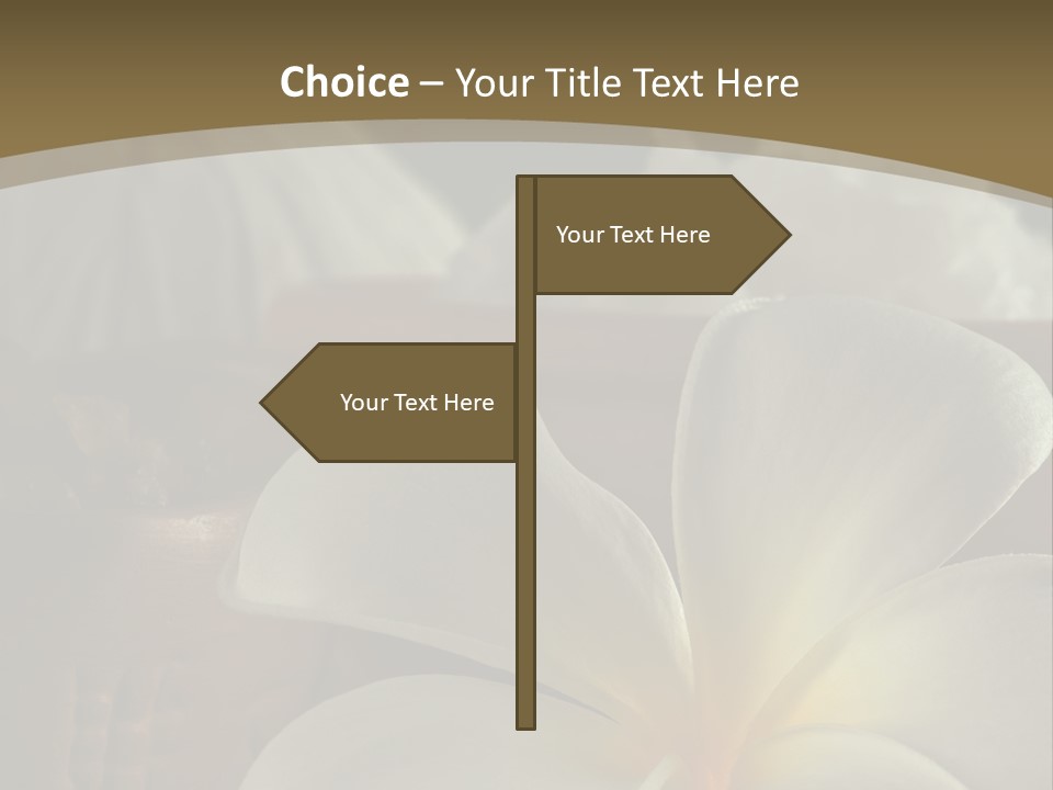 Herbal Aroma Herbs PowerPoint Template