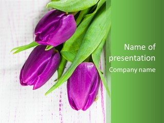 Strau Karte Tulpen PowerPoint Template