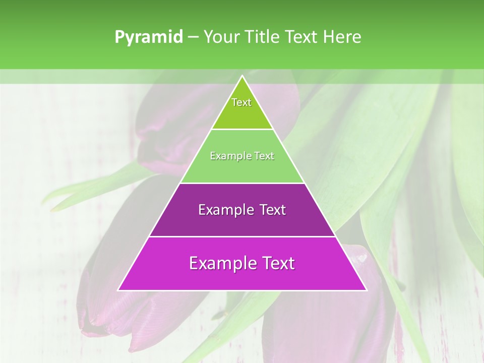 Strau Karte Tulpen PowerPoint Template