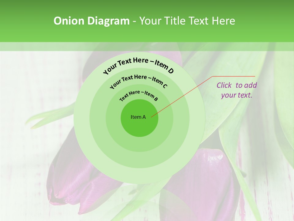 Strau Karte Tulpen PowerPoint Template