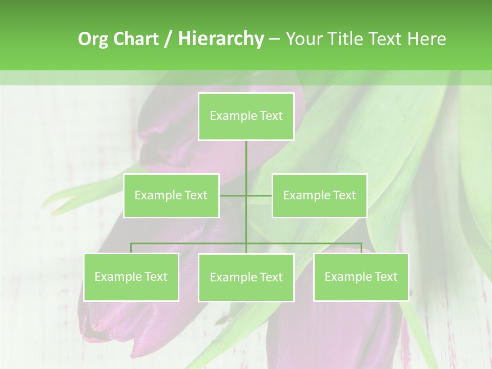 Strau Karte Tulpen PowerPoint Template