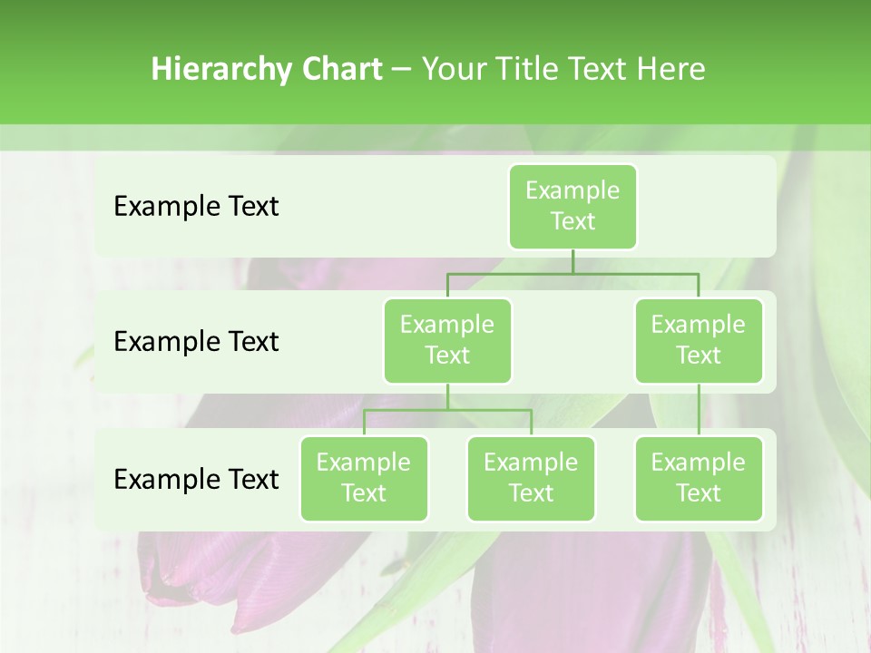 Strau Karte Tulpen PowerPoint Template