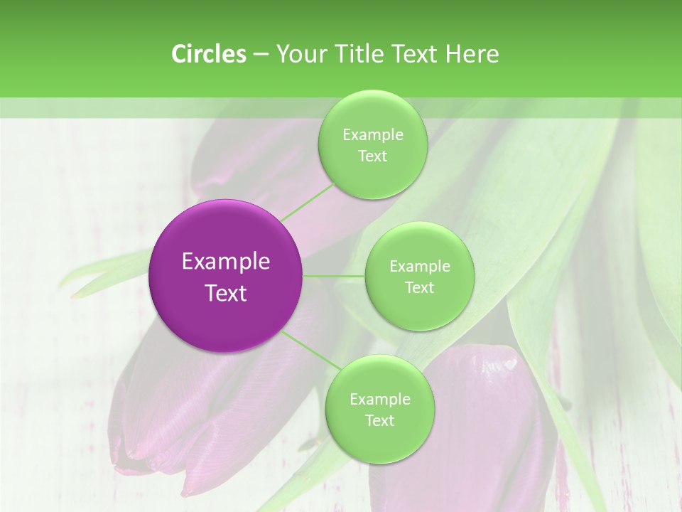 Strau Karte Tulpen PowerPoint Template