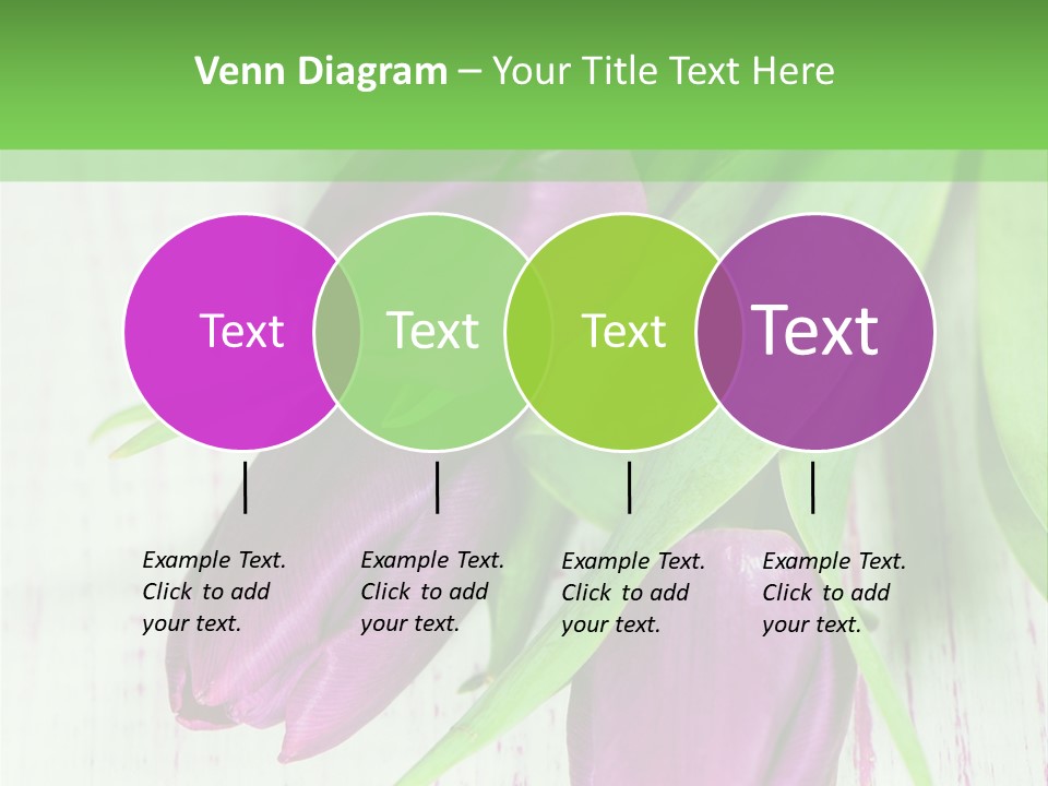 Strau Karte Tulpen PowerPoint Template