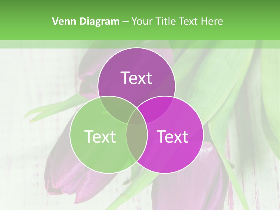 Strau Karte Tulpen PowerPoint Template