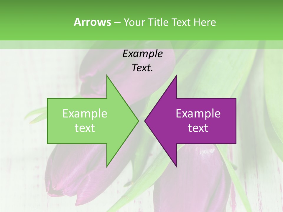 Strau Karte Tulpen PowerPoint Template