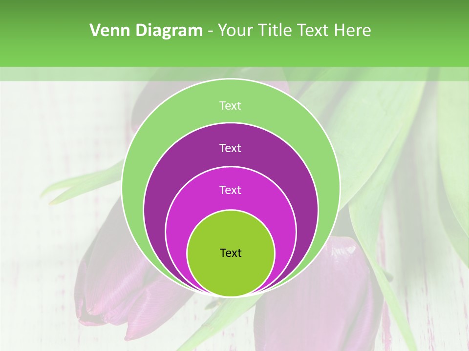 Strau Karte Tulpen PowerPoint Template