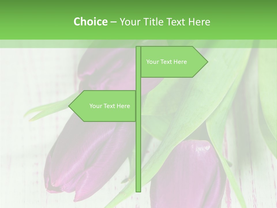 Strau Karte Tulpen PowerPoint Template