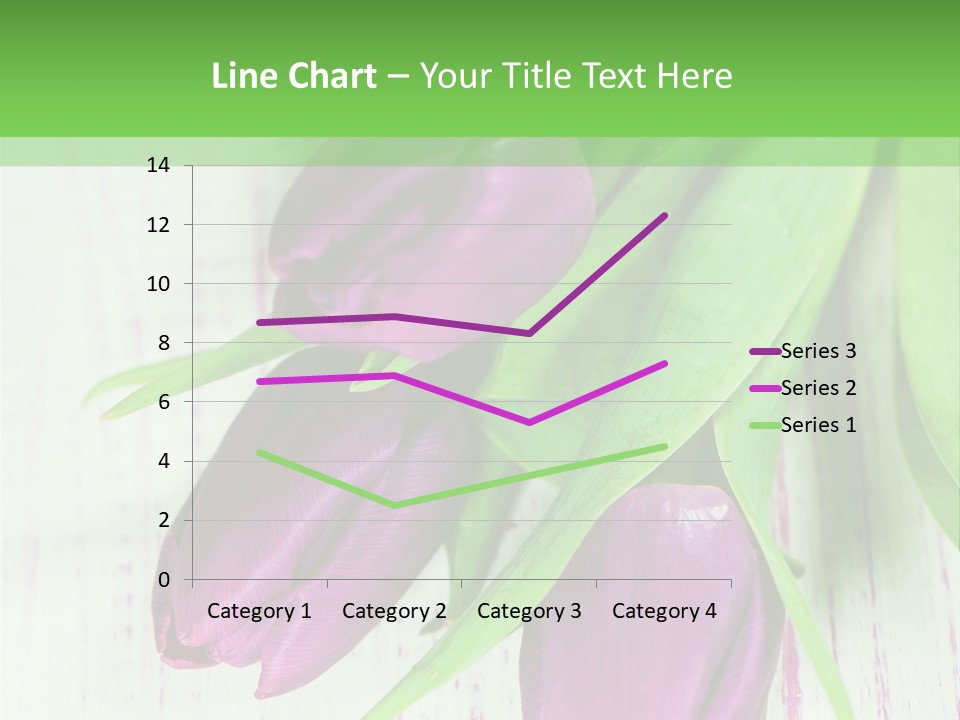 Strau Karte Tulpen PowerPoint Template